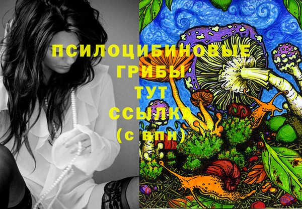 шишки Покров