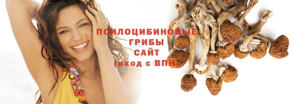 дмт Покачи