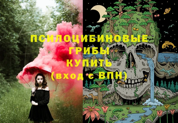 стафф Пролетарск