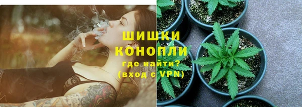 шишки Покров