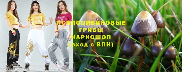 стафф Пролетарск