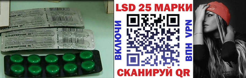 закладка  Суворов  Лсд 25 экстази кислота 